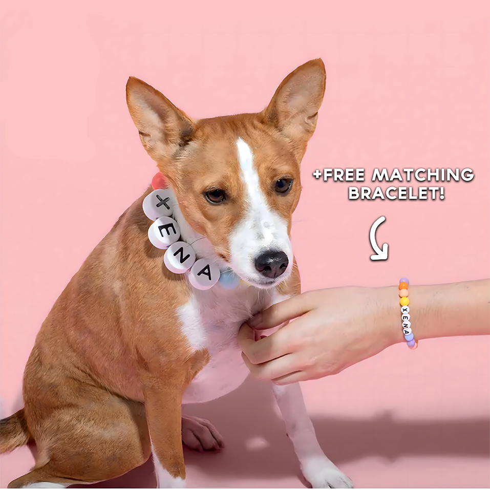 BestieBand™ Dog Collar & Matching Bracelet