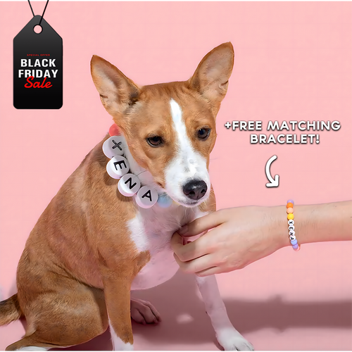 BestieBand™ Dog Collar & Matching Bracelet