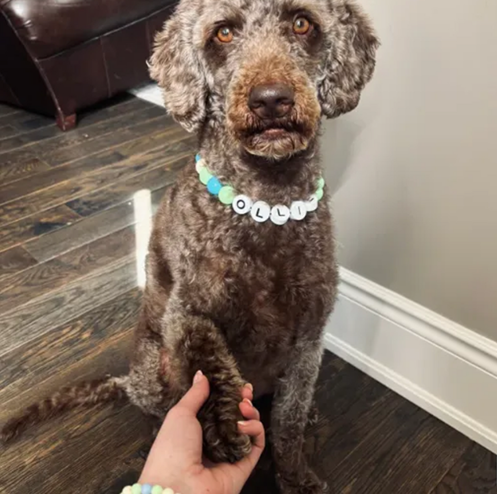 BestieBand™ Dog Collar & Matching Bracelet